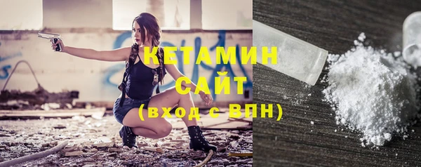 крисы Переславль-Залесский