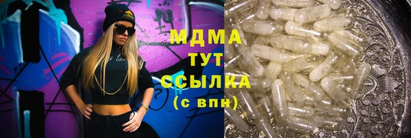 стафф Алексин