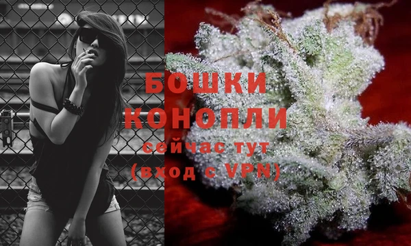 бошки Алзамай