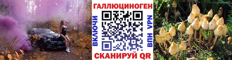 Галлюциногенные грибы Magic Shrooms  Солигалич 
